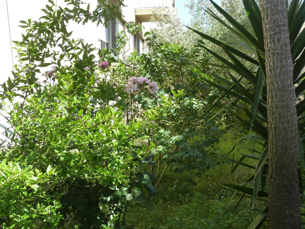 Apartment Marina Zadar Zewnętrze zdjęcie
