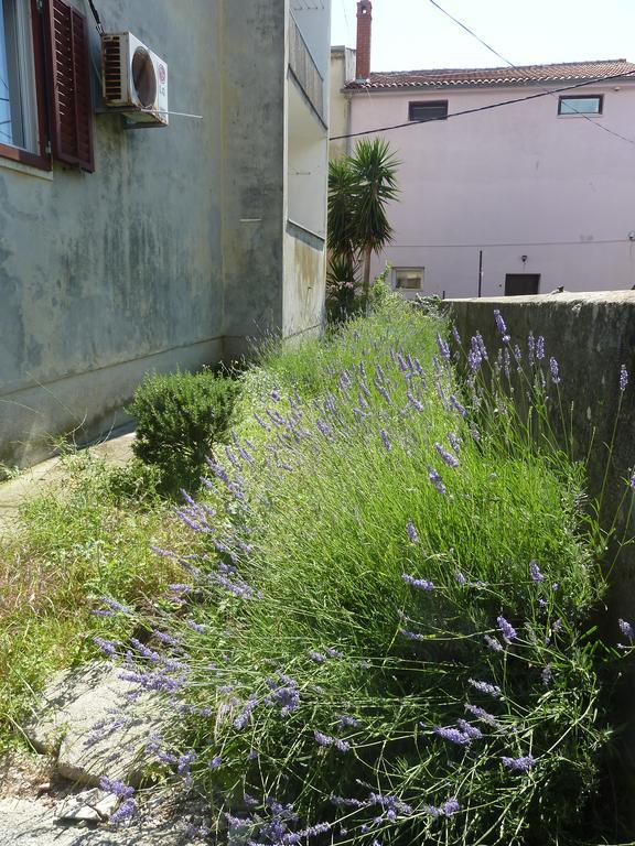 Apartment Marina Zadar Zewnętrze zdjęcie